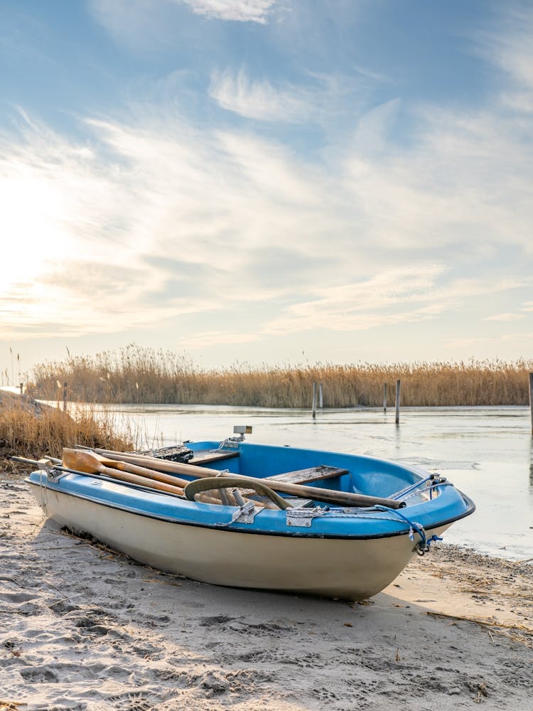 Paddle Boat On The Beach