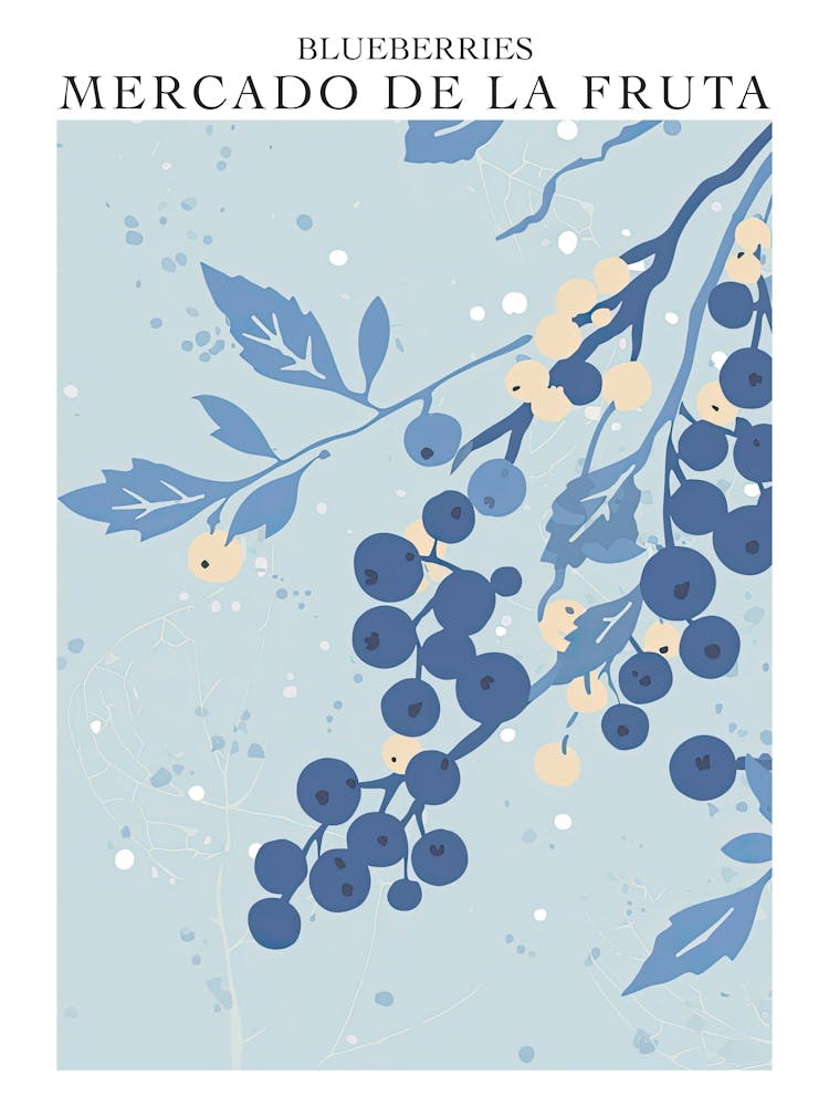 Mercado De La Fruta Blueberries Illustration 3 Poster