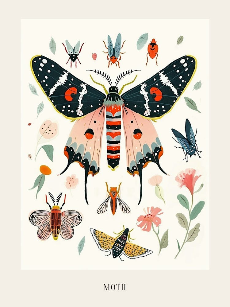 Bunte Insektenillustration Motte 15 Plakat