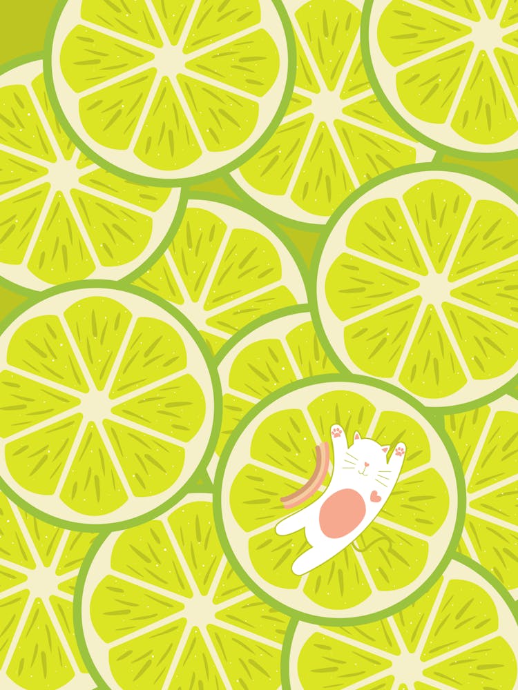Lime Slices and a Cat
