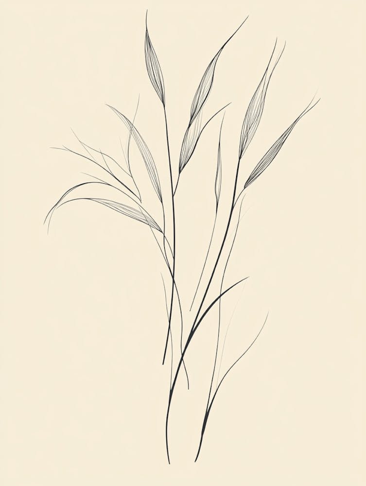 Drawing Of Grass