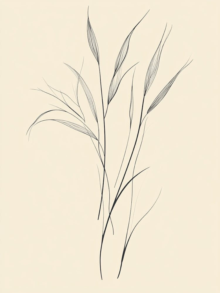 Drawing Of Grass