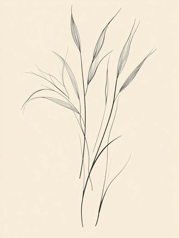 Drawing Of Grass