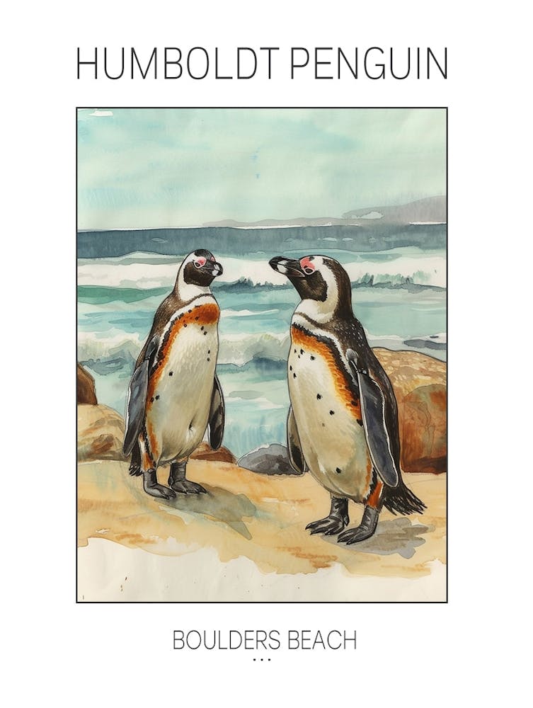 Humboldt Penguin Boulders Beach Simons Town Watercolour Painting 1 Poster