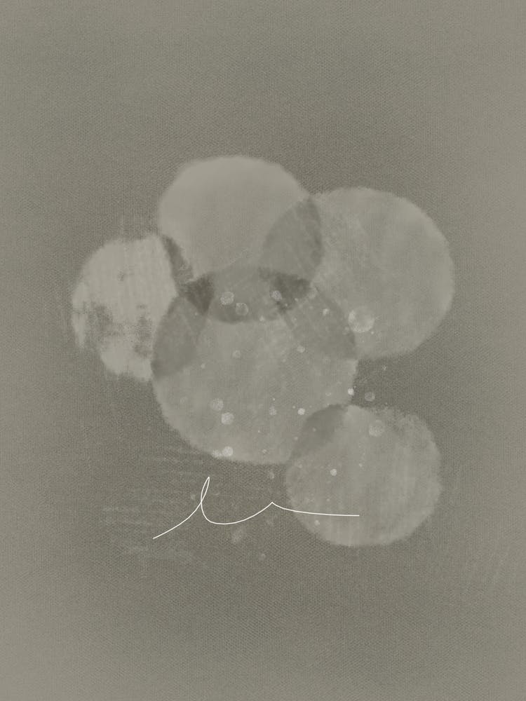 Symbiosis