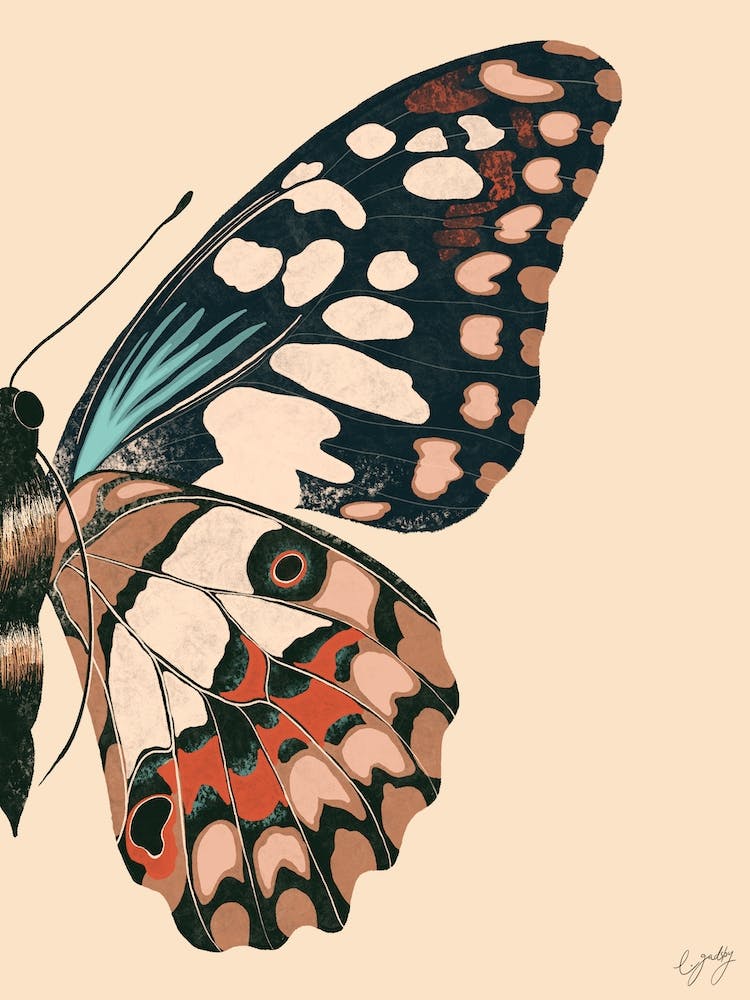 Butterfly Wing Cream