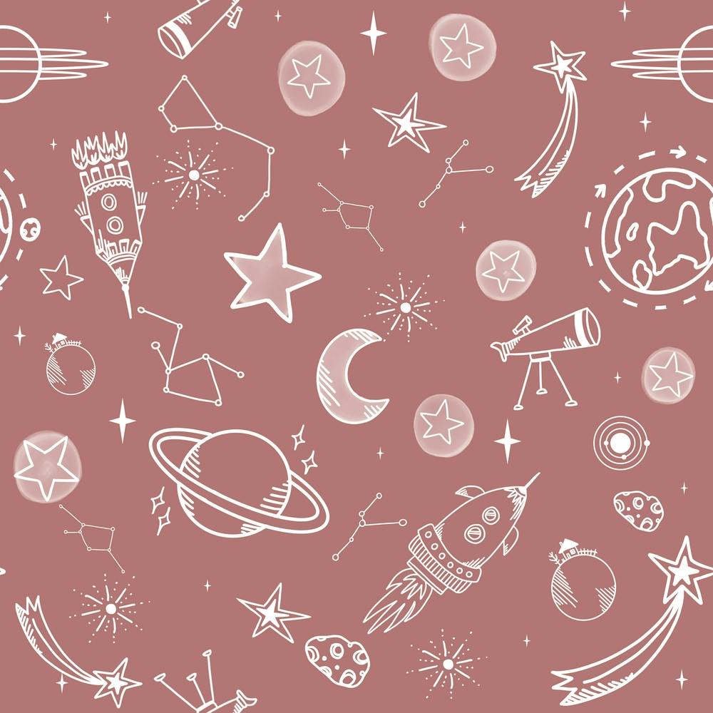 Weltraumreise Rose