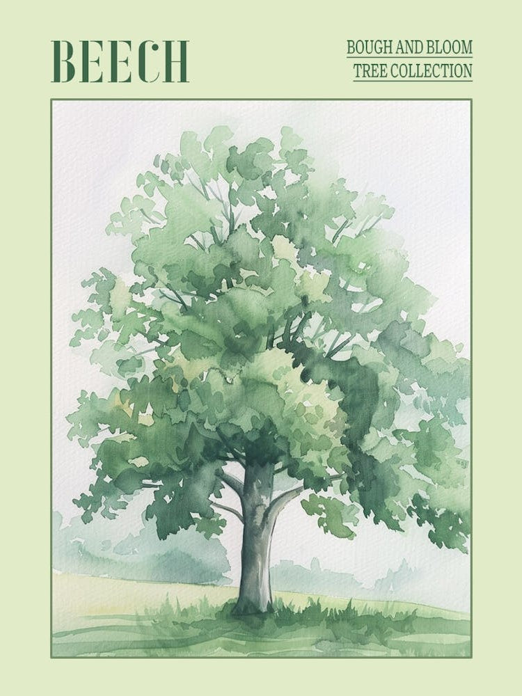 Beech Tree Atmospheric Watercolour Painting 4 Poster
