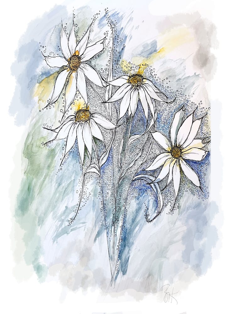 Daisies