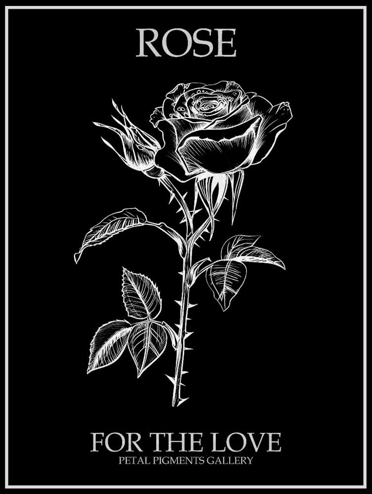Black And White Rose Line Drawing 8 Poster Inverted
