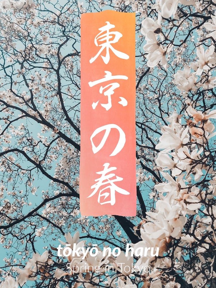 Spring in Tokyo
