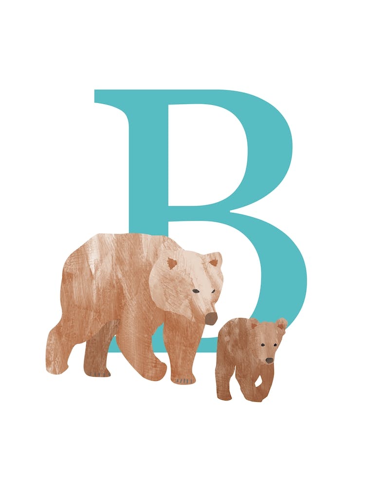 B For Bear
