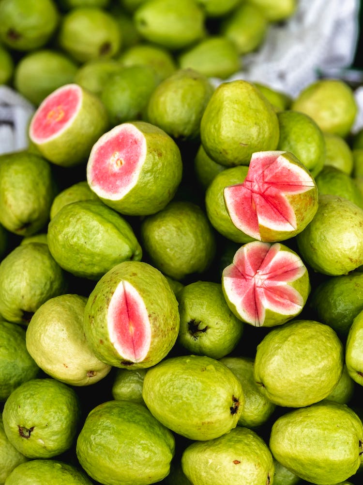 Tropical Green Guava Fruit