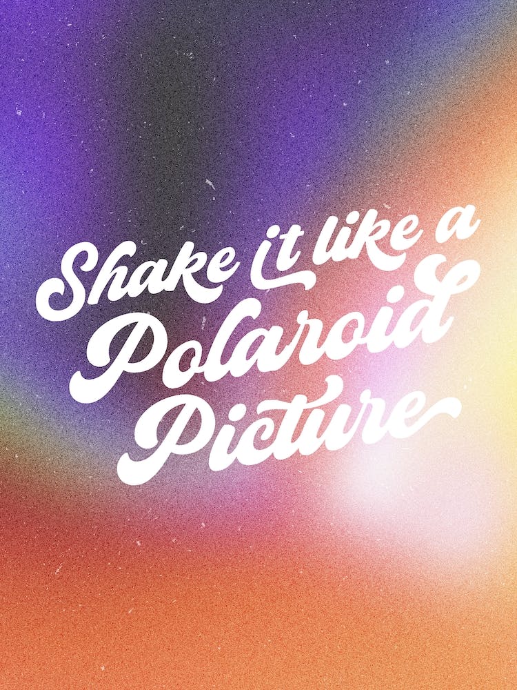 Shake It Like A Polaroid Picture, Outkast