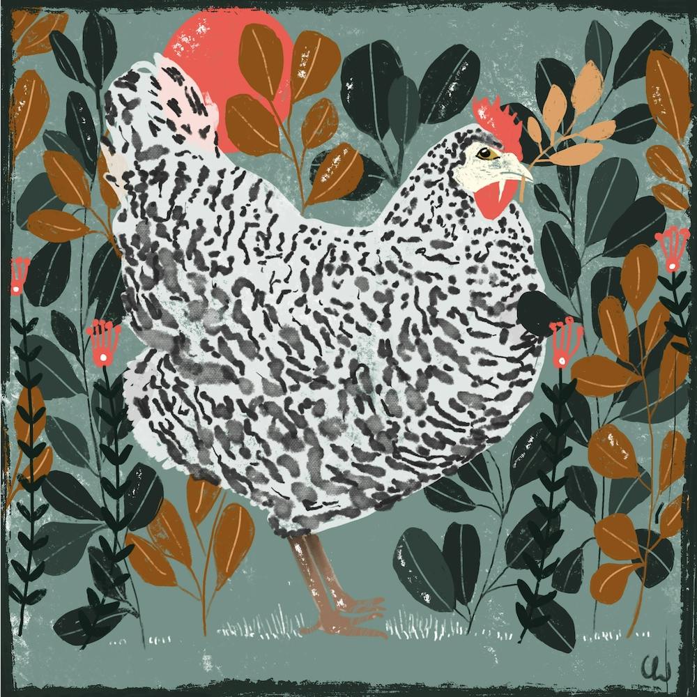 The Chicken And The Leaves Square