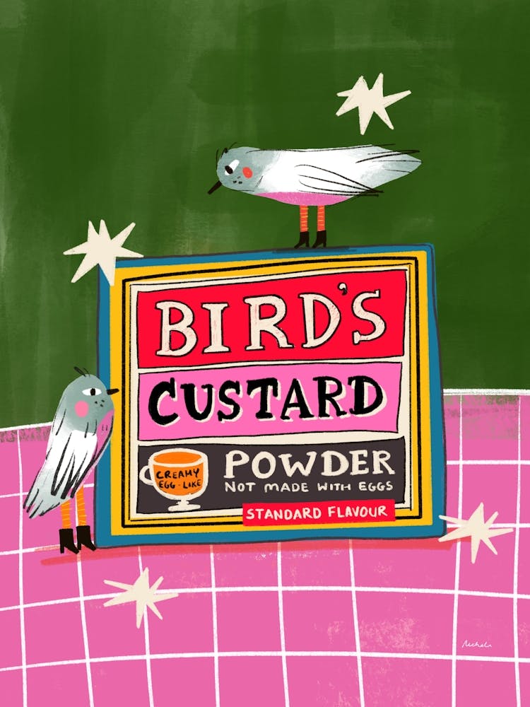 Vintage Food Birds Custard Powder Box 1
