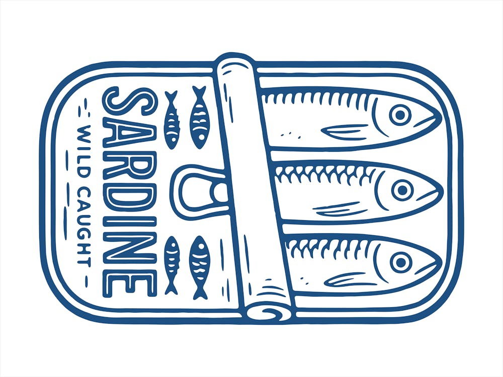 Sardine