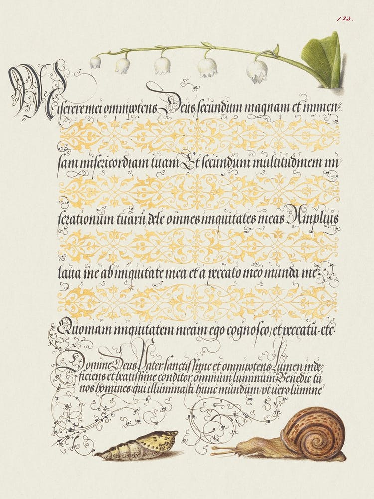 Lily Of The Valley, Pupa, And Land Snail From Mira Calligraphiae Monumenta, Joris Hoefnagel