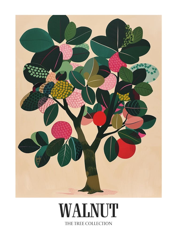 Walnut Tree Colourful Illustration 2 Poster