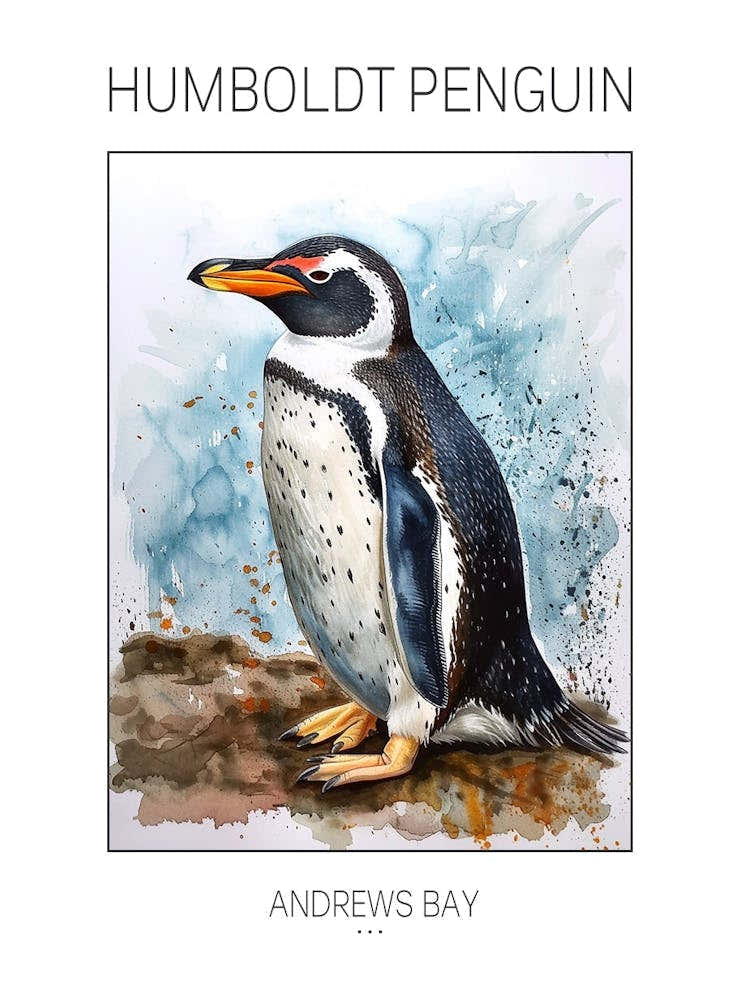Humboldt Penguin Andrews Bay Watercolour Painting 2 Poster