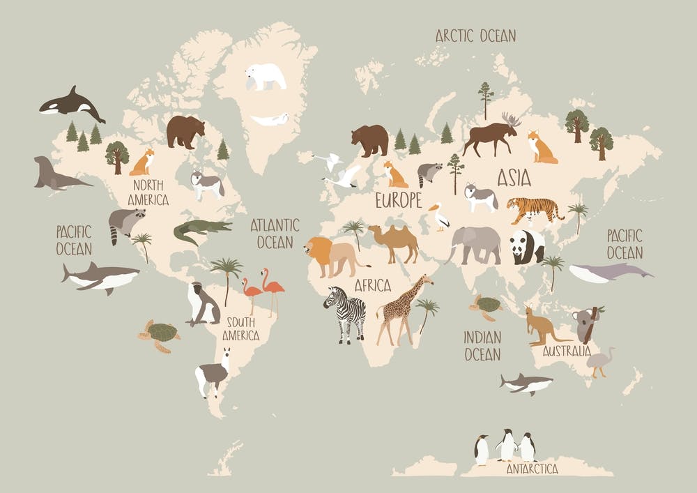 Modern World Map With Animals In Green