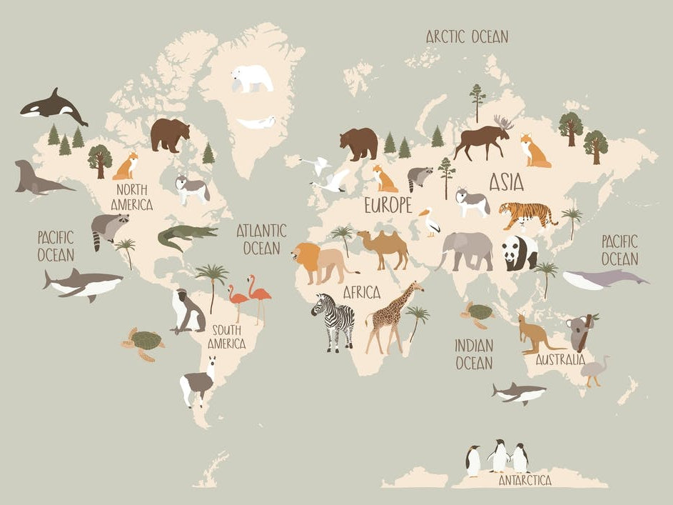 Modern World Map With Animals In Green
