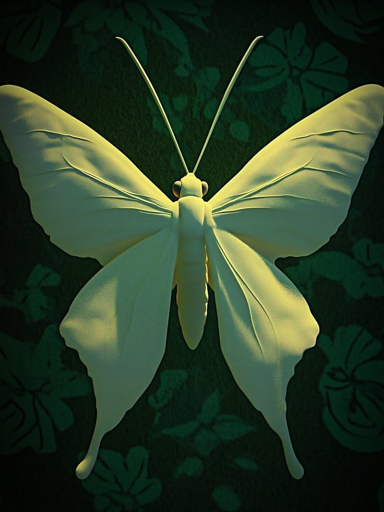 Butterfly 5