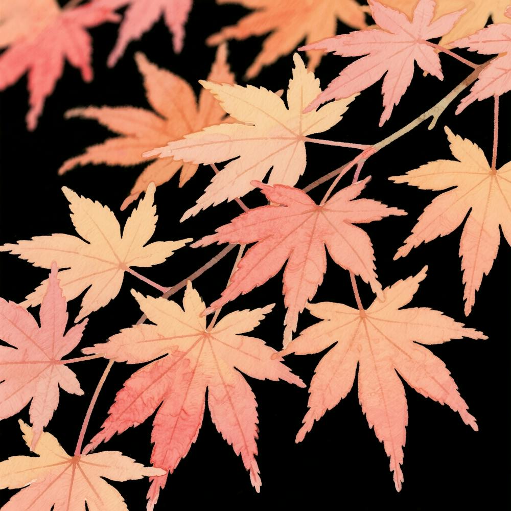 Autumn Maple Leaves
