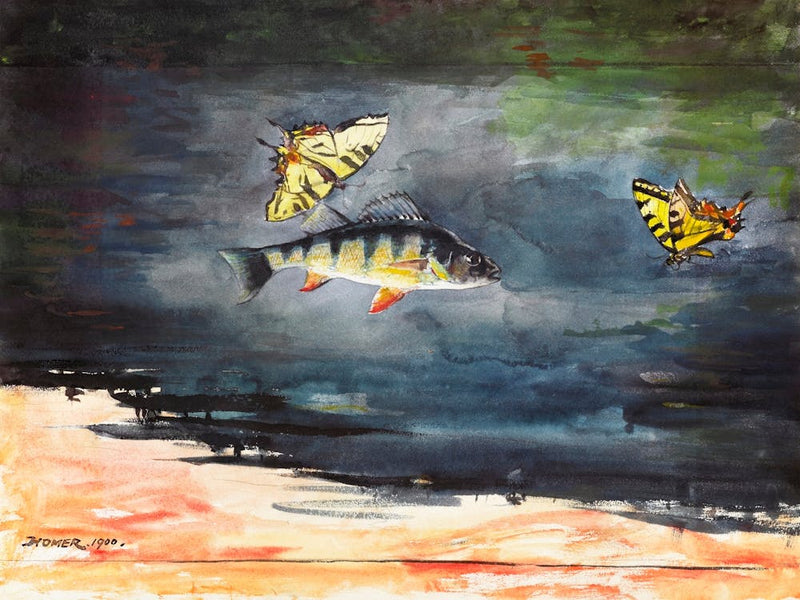 Fish And Butterflies (1900), Winslow Homer