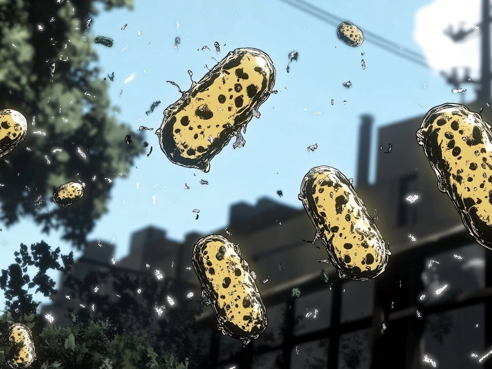 Bacteria