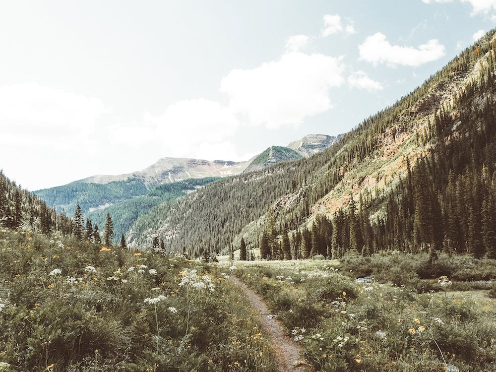 Wildflower Hiking Trail