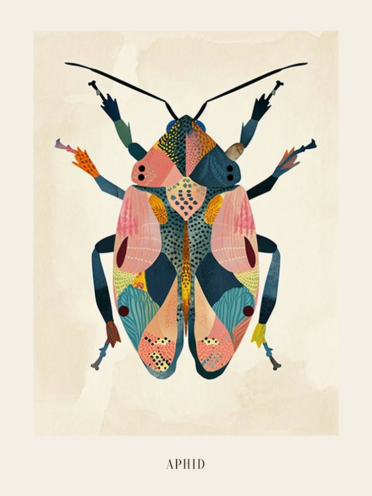 Colourful Insect Illustration Aphid 13 Poster