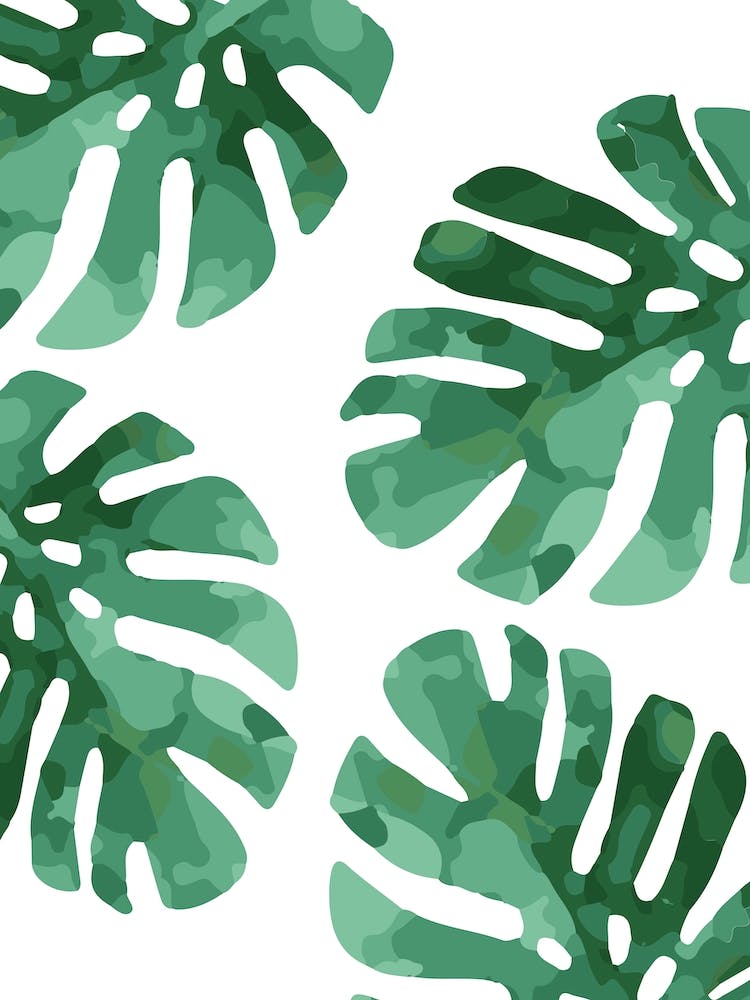 Monstera Pattern