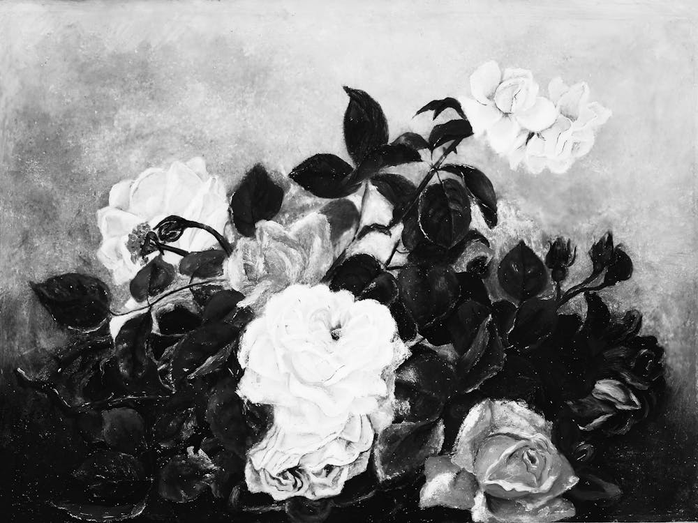 Black And White Roses 4