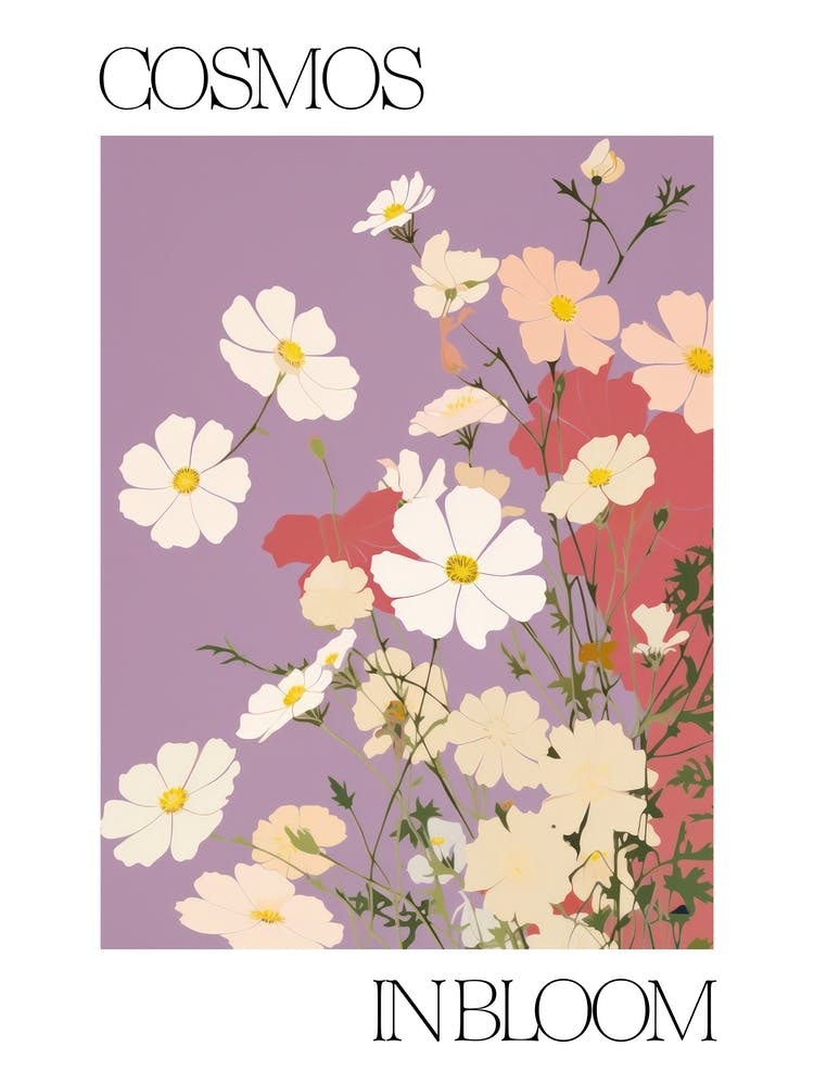 Cosmos In Bloom Flowers Bold Illustration 2