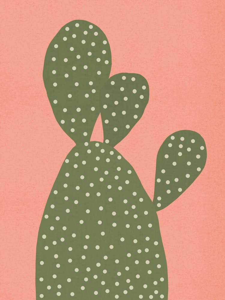 Cactus plant 2