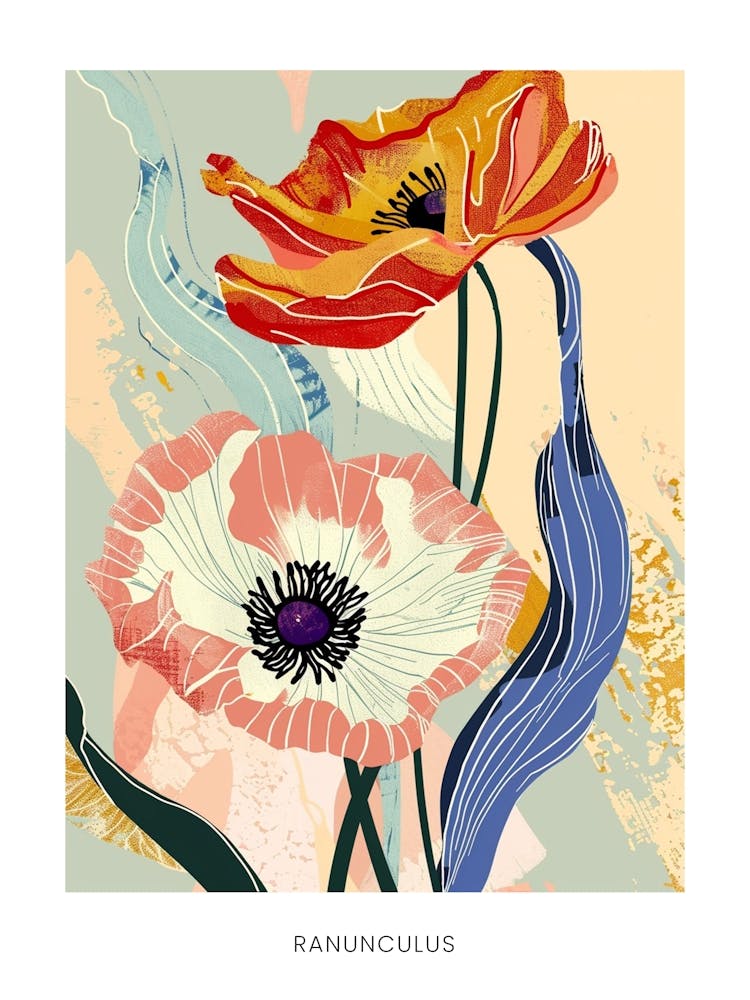 Colourful Flower Illustration Poster Ranunculus 4