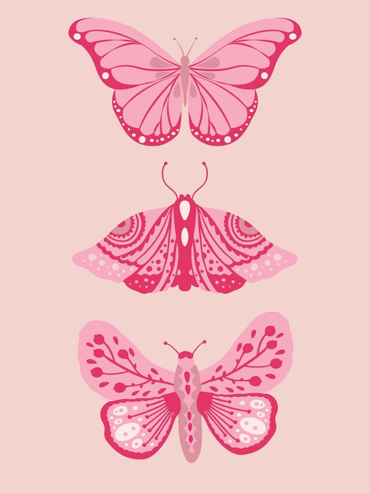 Pink Butterflies