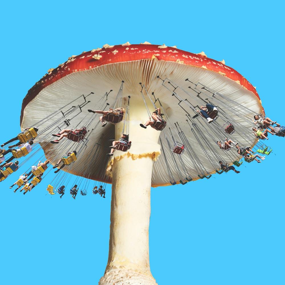Amanita Carousel Square