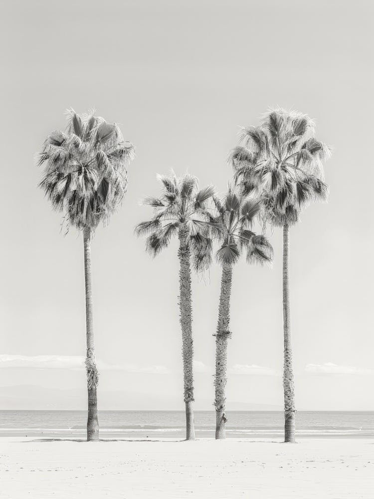 Three Palm Trees On The Beach 4