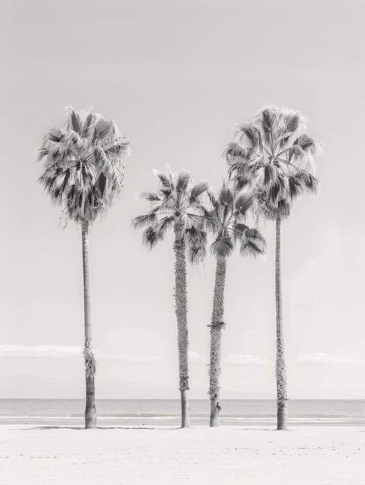 Three Palm Trees On The Beach 4