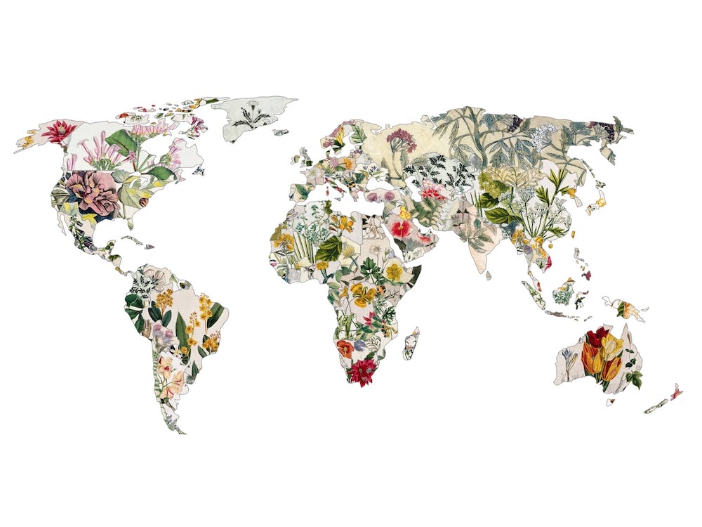Vintage Botanische Welt