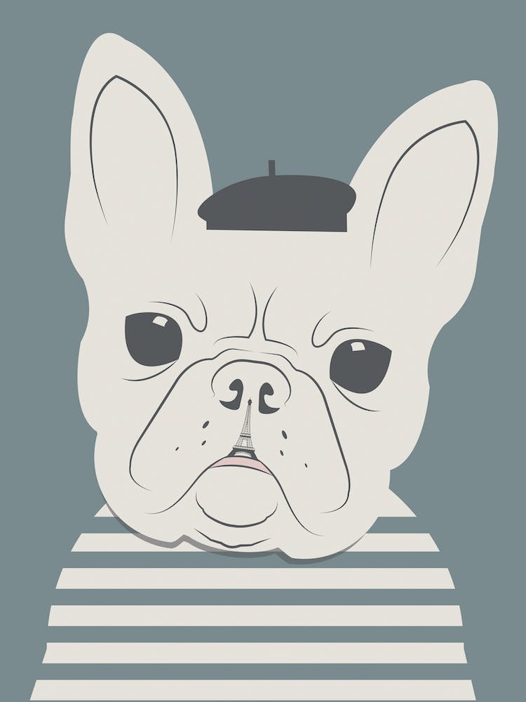 Frenchie