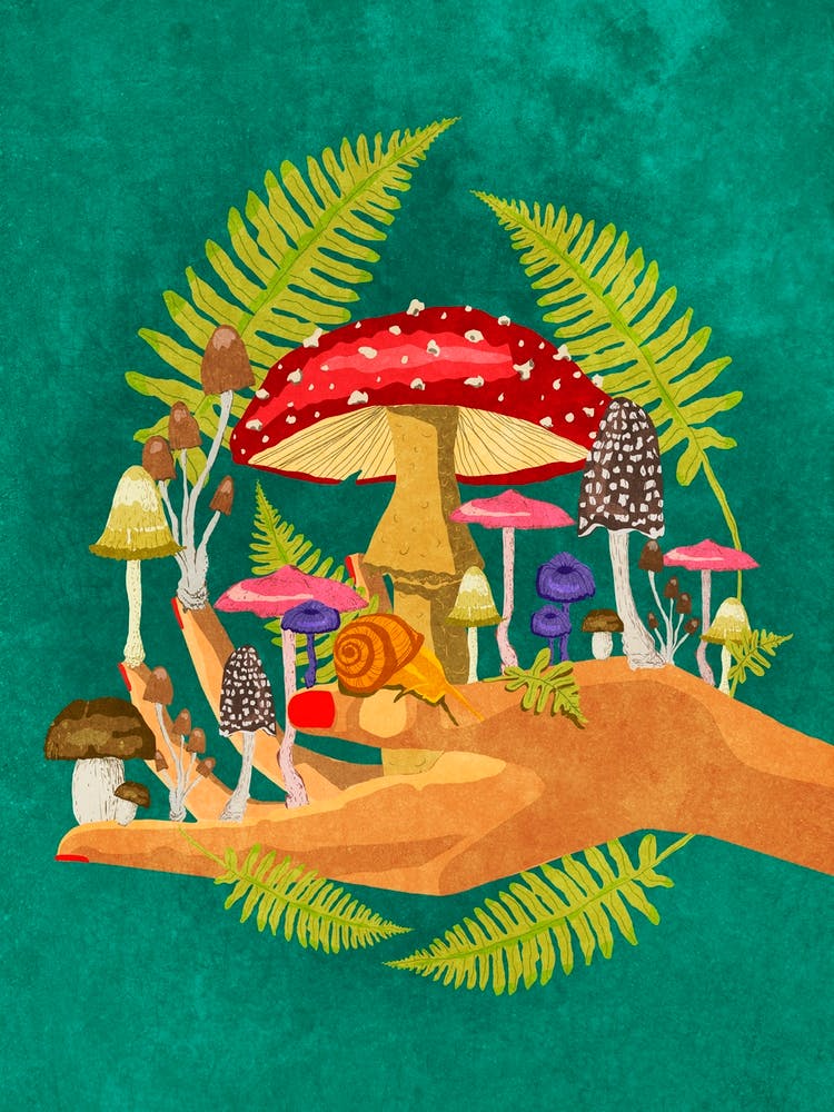 Mushroom cosmos