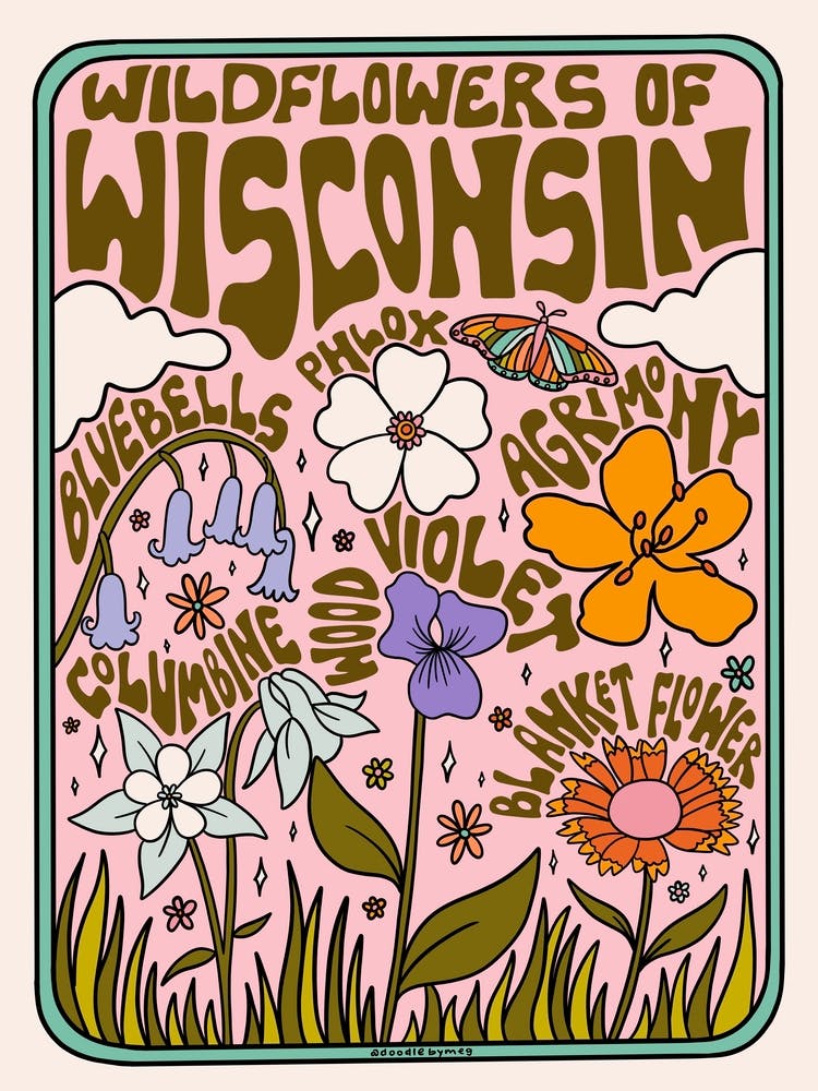 Wisconsin Wildflowers