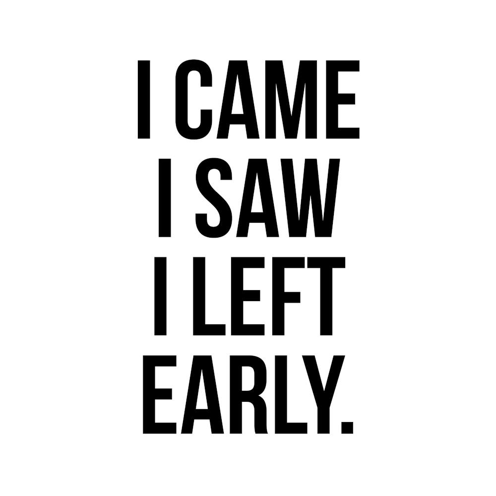 I Came I Saw I Left Early