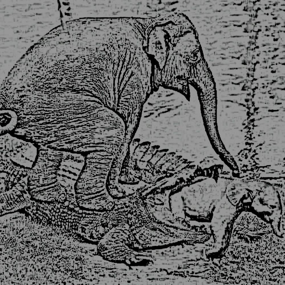 Elephants And Crocodiles