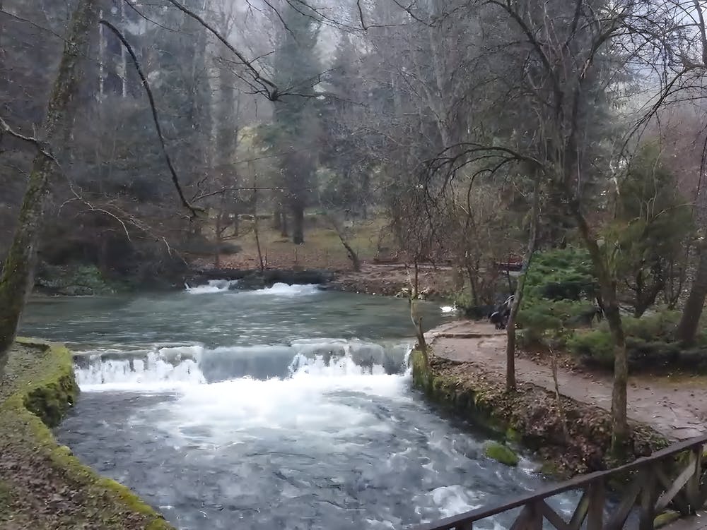 The Secret Of Life Is Air And Water And Sun