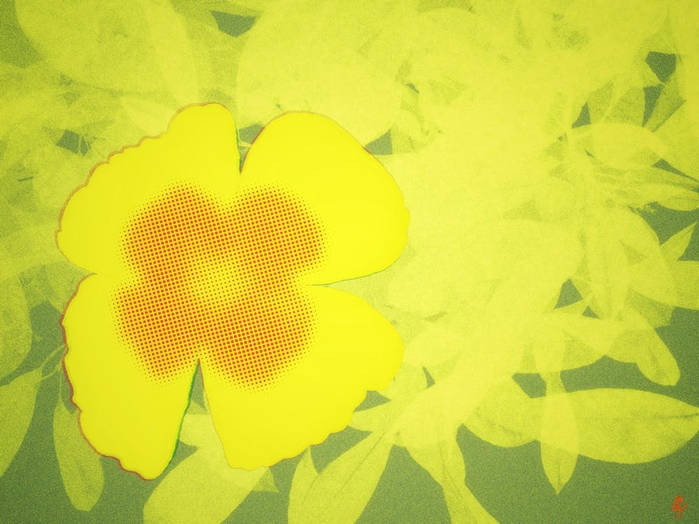 Yellow Flower 1