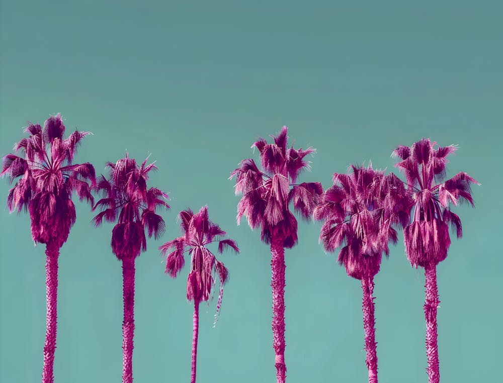 Palm Trees 3